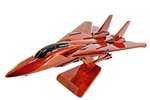F-14 Tomcat  airplane aircraft model