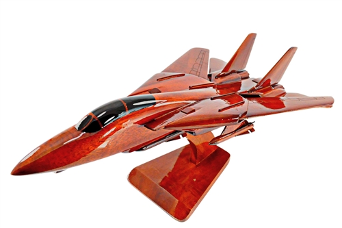 F-14 Tomcat  airplane aircraft model