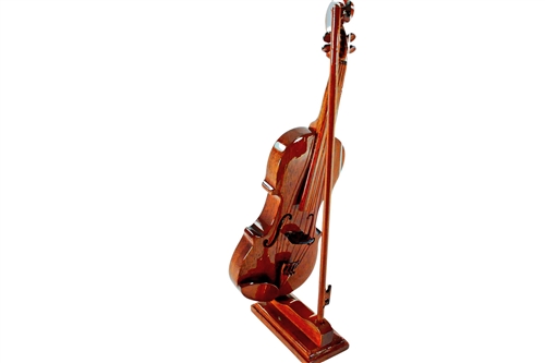 Violin